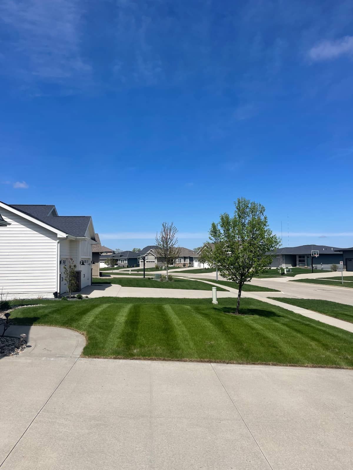 Freshly mowed residential lawn in Ankeny, Iowa after professional mowing service.
