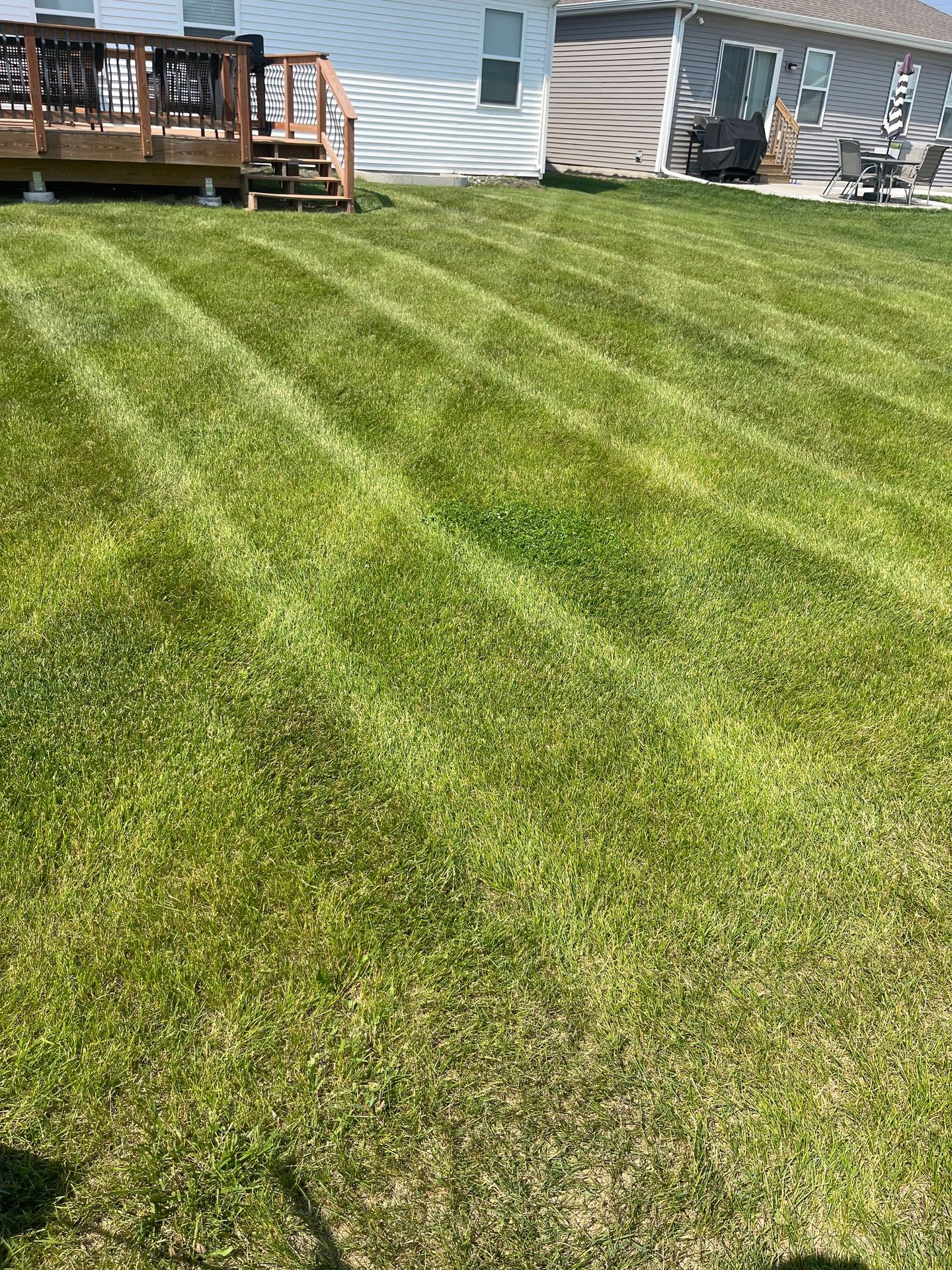 Lawn Mowing
