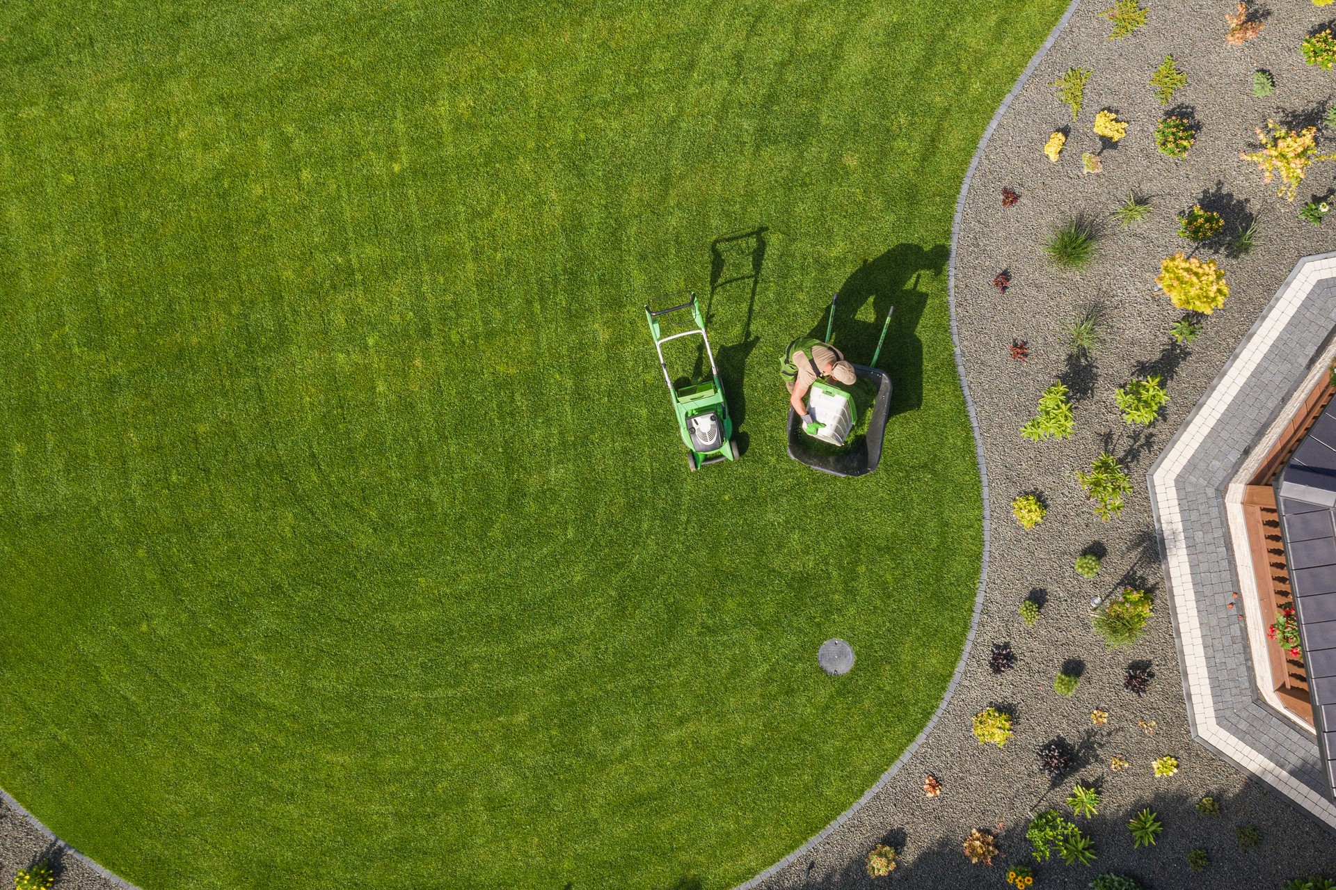 Man Mowing a Lush Green Lawn in a Well-Maintained Garden Under Bright Sunlight During Summer